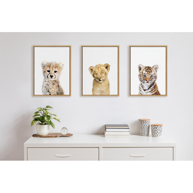 «Animal Studio Sleepy Lion» par Amy Peterson, reproduction d'art sur toile encadrée, 18 po x 24 po, Encadré naturel