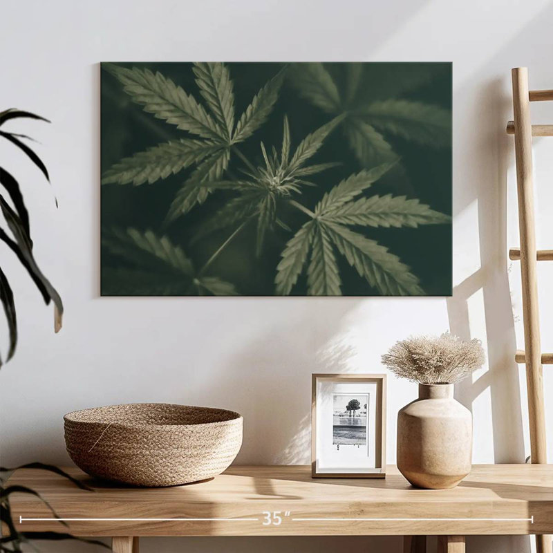 Marijuana feuillue, H 16 po x l 24 po