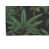 Floral gris anthracite
