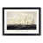 Black Framed