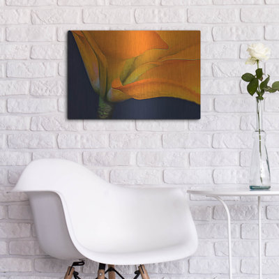 «Lily Dressed In Orange» par Pamela Plummer
