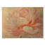 Fleur de pivoine douce I - art mural floral en bois-489351566-489351561