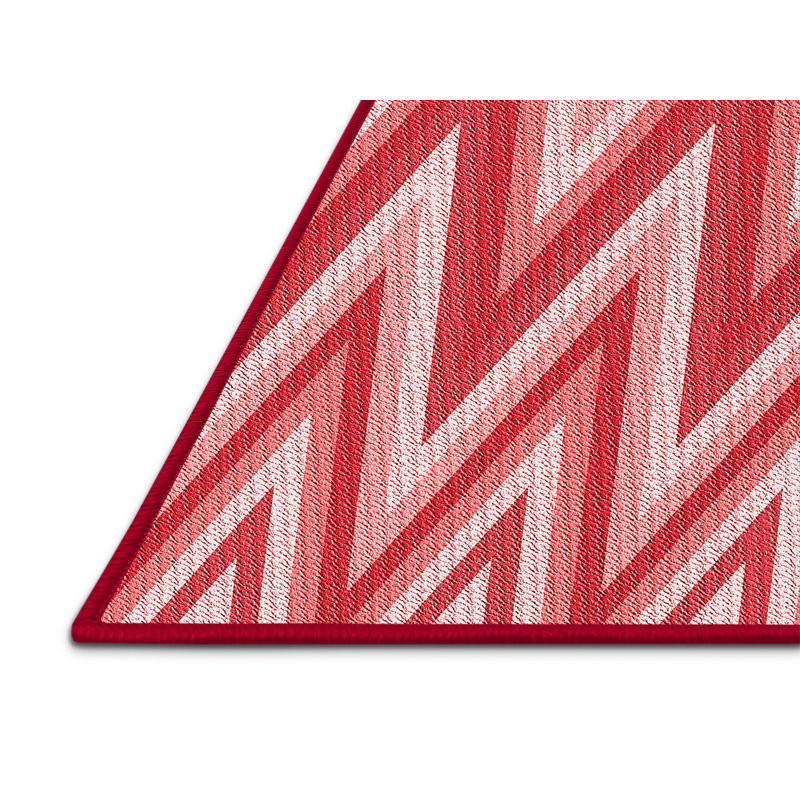 Washable Indoor Rug