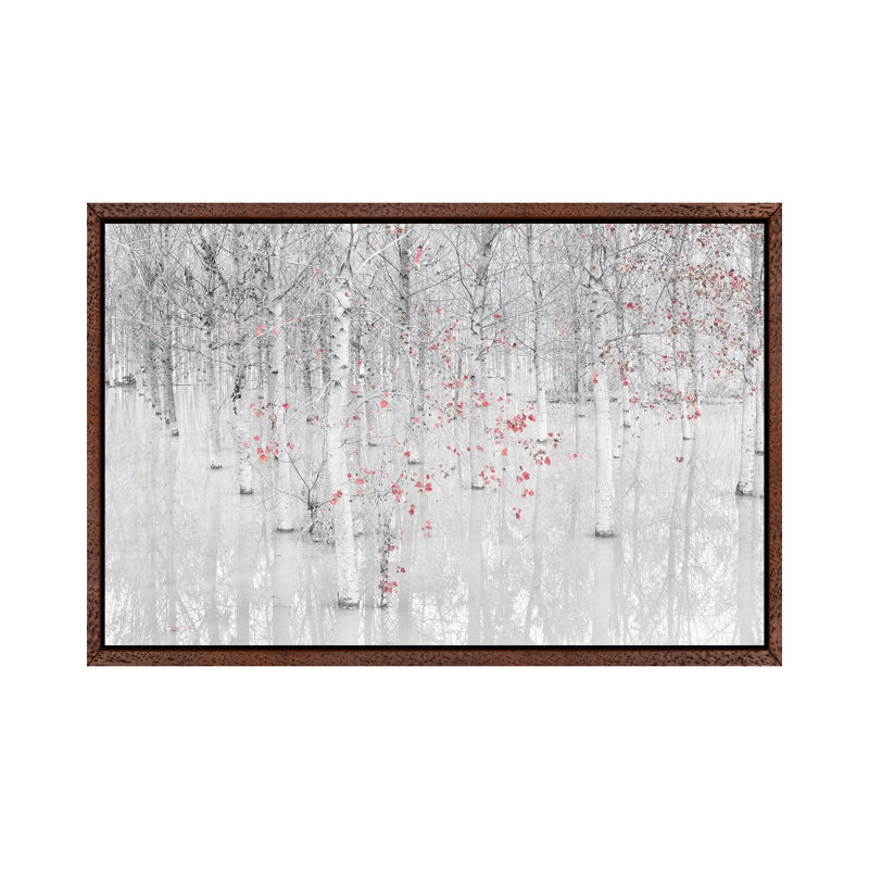 Red And White by Fiorenzo Carozzi - Print on Canvas, Classic Brown Wood Floater Framed, 66.04cm H x 101.6cm W x 3.81cm D