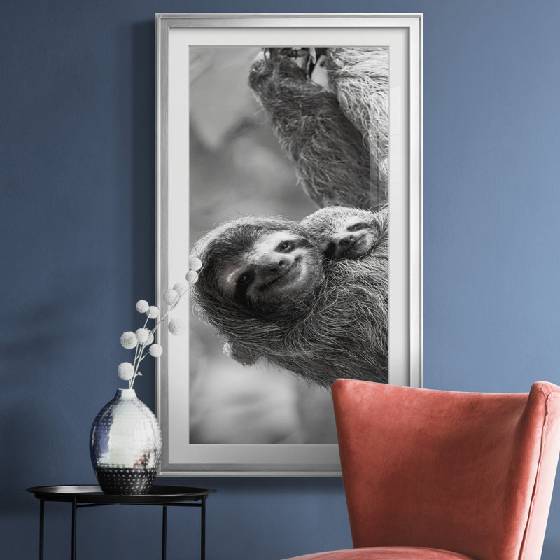 Sloth Swing - Photographie avec cadre photo, Argent, H 22,5 po x l 42,5 po x P 1,5 po