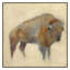 Bison Print by Maeve Harris-777258293-777258298