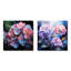 Hortensia rose et bleu, floraison symphonique - ensemble de 2 collages floraux carrés-88249200-88249207