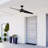 Annasophia 60'' Ceiling Fan with LED Lights-1607546367