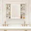 Darshon Bathroom Cabinet