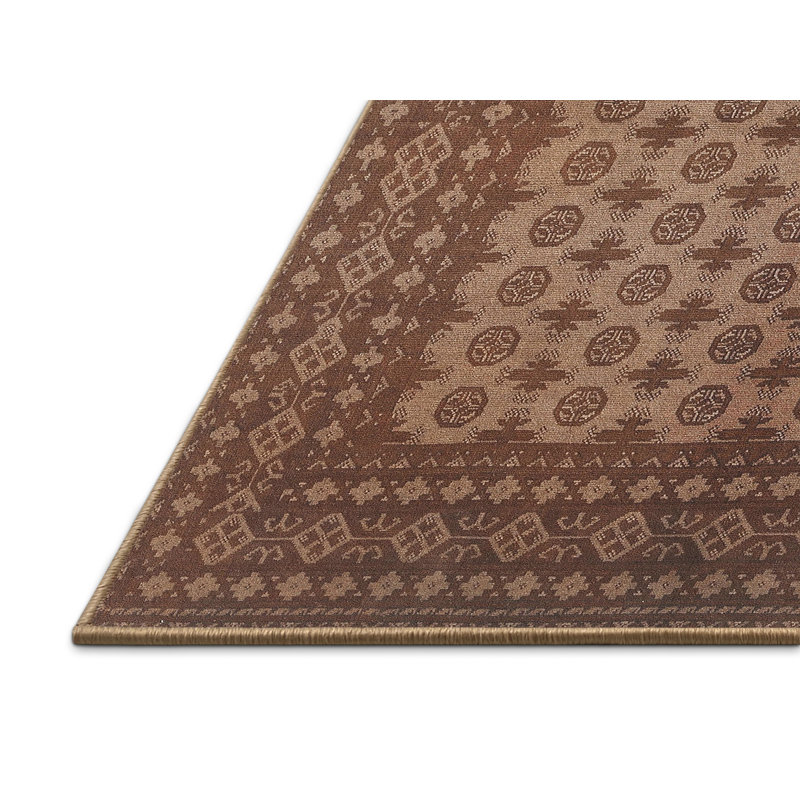 Tapis brun clair Southwestern, Rectangle 7 pi x 10 pi