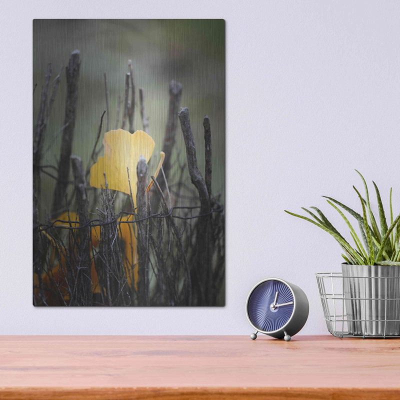 «Prisoner Fall» par Philippe Sainte-Laudy, art mural en métal de luxe, 12 po x 16 po