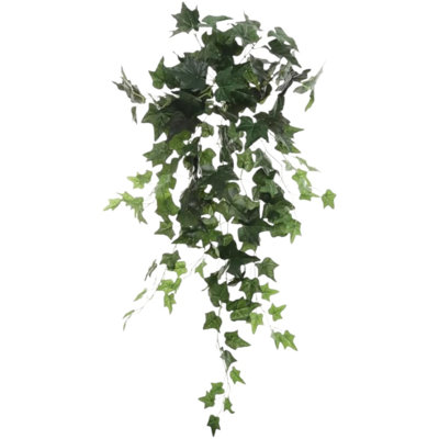 Hanging English Ivy Bush - 36"