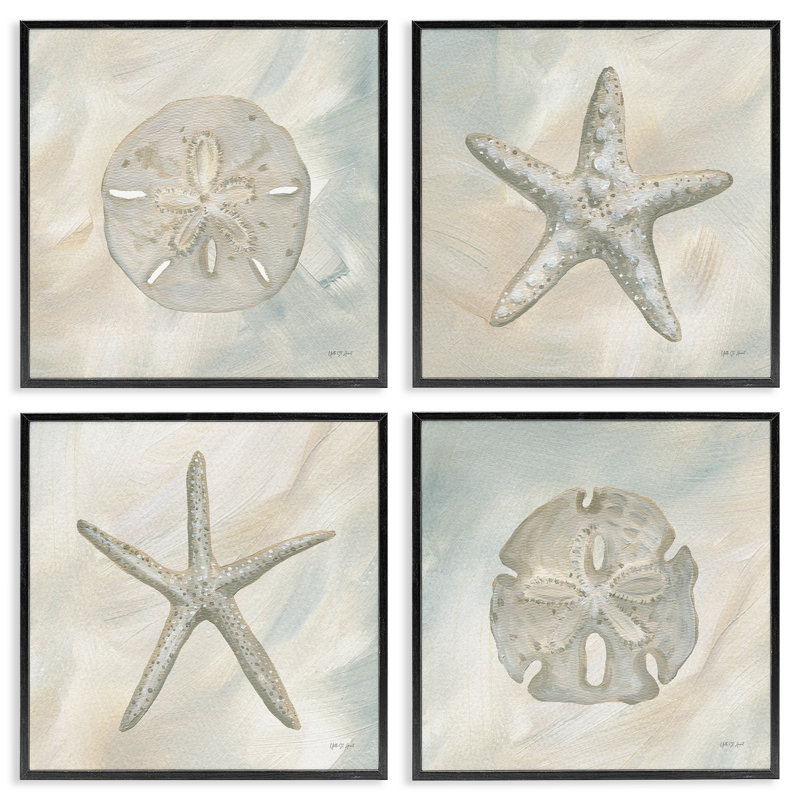 «Neutral Starfish & Sand Dollars» par PC, Cadre gris, H 17 po x l 17 po