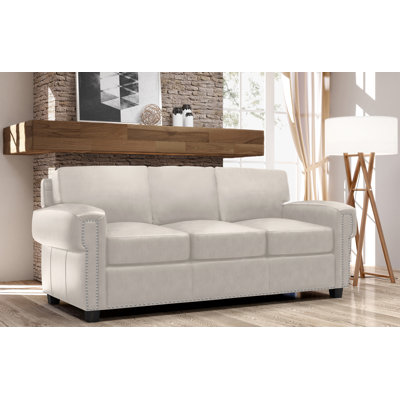 Fardin 87" Genuine Leather Queen Sleeper Sofa