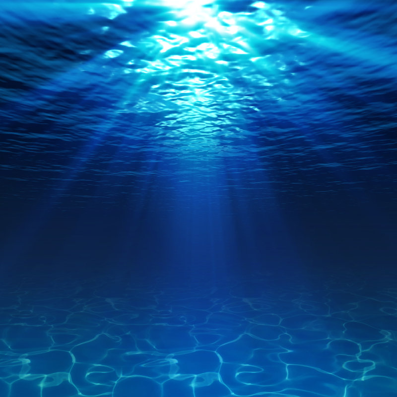 Underwater View - Wrapped Canvas Print, 51cm H x 51cm W x 3.8cm D