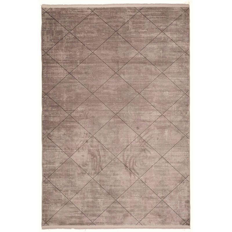 Bezore Machine Made Indoor / Outdoor Area Rug, Rectangle 2'7" x 4'11"
