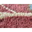 Tapis oriental en laine touffeté rouille