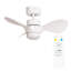Cayleeann 24cm Ceiling Fan with LED Lights-1750208804
