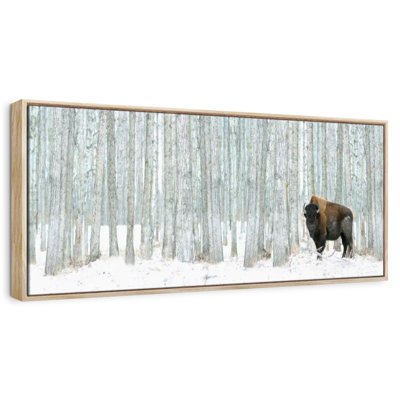 Alberta Winter