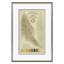 Lichen Study, John Peter Westring, 1808 par Paul Cezanne - Ensemble de 6 impressions sur papier encadrées