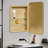 16'' W 24'' H Framed Medicine Cabinet-126754918