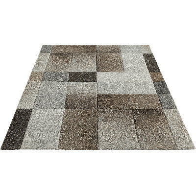 Hixie Checkered Pattern Area Rug