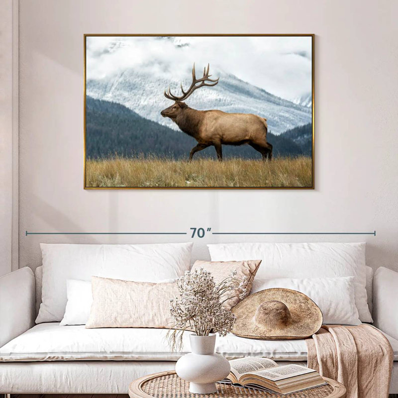 Wapiti de montagne, 46 po x 31 po, Cadre flottant doré