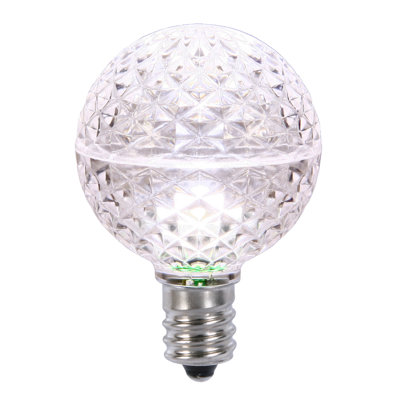 Light Bulb