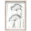 Botanical Shadow Shadowbox Floral & Botanical Print by Oliver Gal, Black Frame, 10 x 15-1127848337-1288654126