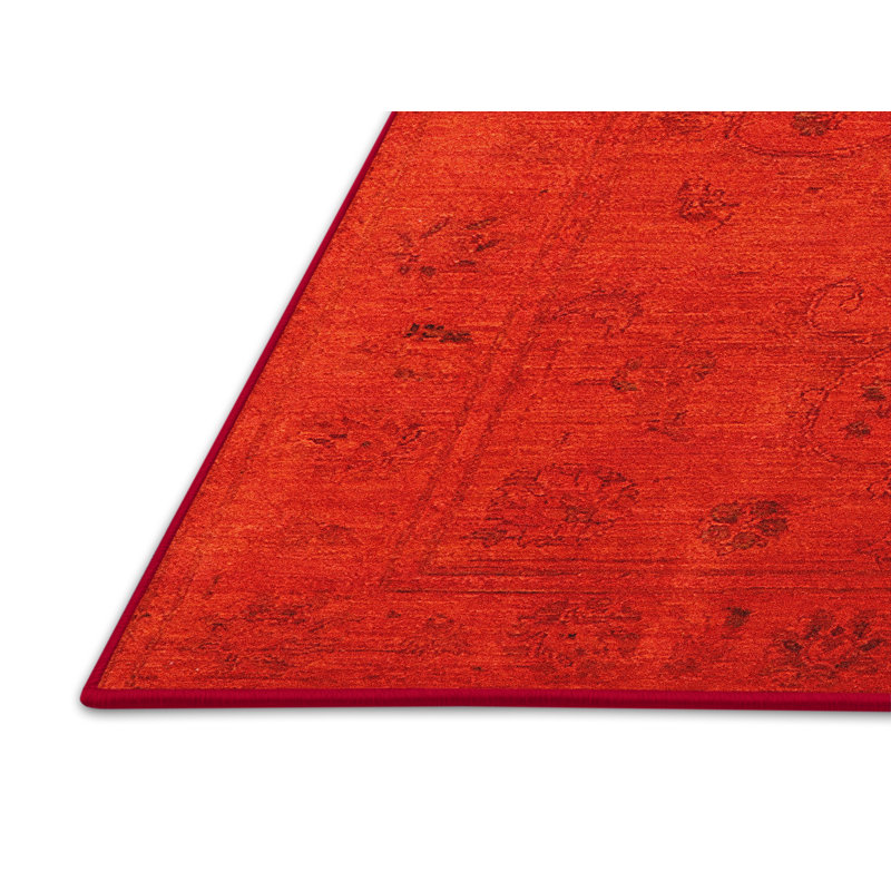 Oriental Indoor Rug, Rectangle 4' x 6'