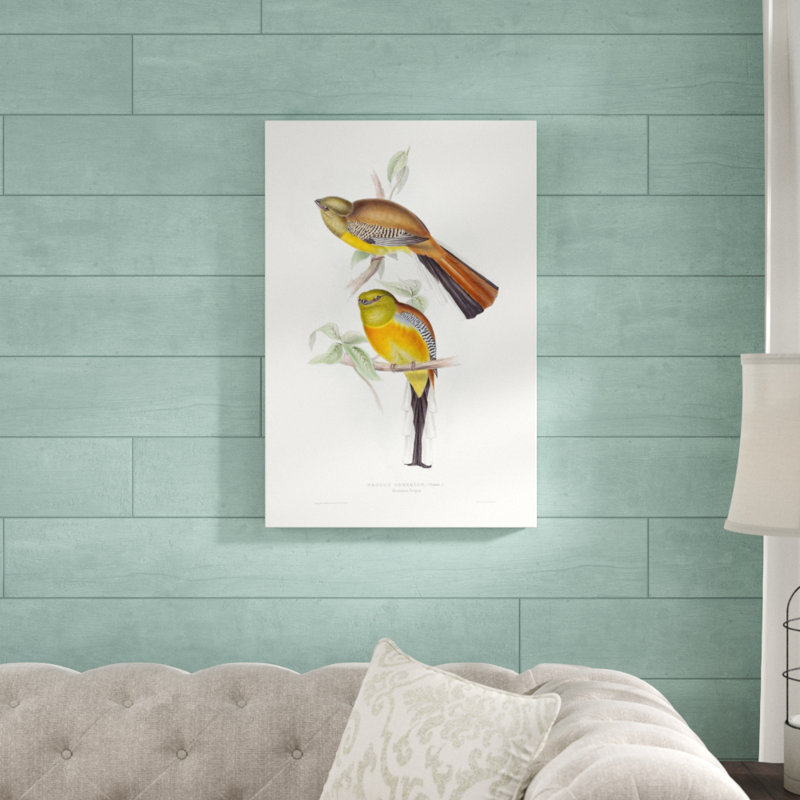 «Tropical Trogons VI», peinture sur toile, H 30 po x l 20 po