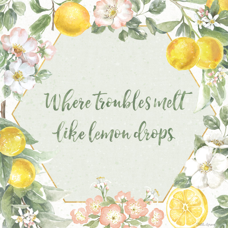 Citrus Charm III by Beth Grove - Wrapped Canvas Print, 51cm H x 51cm W x 3.8cm D