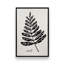 Ensemble de 4 botaniques noirs et blancs-1479030351-1479030350