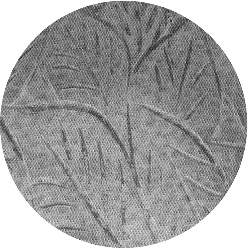 Tapis floral gris, Rond 5 pi