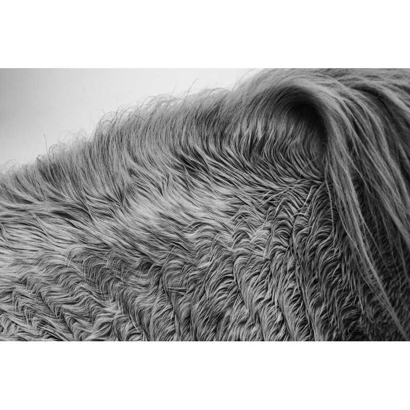 Horse Hair by Aledanda - Wrapped Canvas Print, 20cm H x 30cm W
