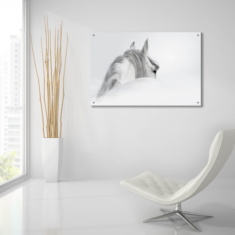 «White Horse» par PhotoINC Studio, H 24 po x l 36 po