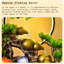 Aquarium moderne 5-10 gallons Aesin