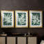 «Water Palm Fossil I», impression encadrée sur mesure de qualité supérieure - 3 pièces-1930861774-1930861775