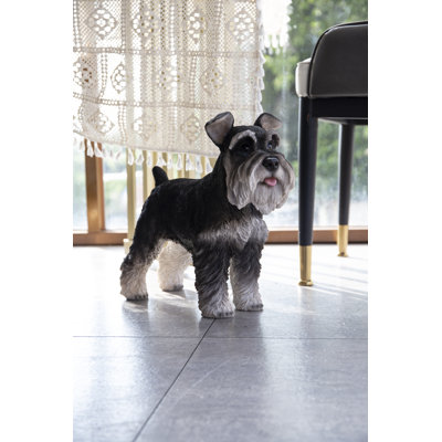 Standing Miniature Schnauzer