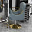 Chaise de salon hydraulique pivotante à 360 ° - Fauteuil de coiffeur professionnel avec pompe-371000852