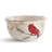 222 Fifth 12-Piece Holiday Wishes Red Porcelain Dinnerware Set - Service For 4, Plate & Bowl Set