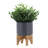 Planter W Stand, Matte Gray-1755531594-1755531595