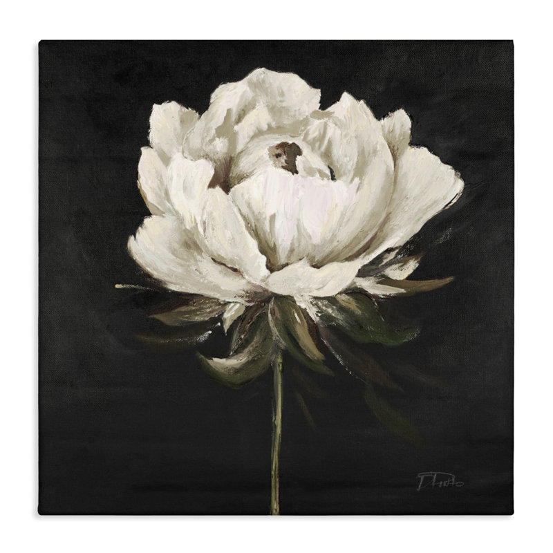 Jolie fleur délicate sur toile noire, design par Patricia Pinto, H 30 po x l 30 po