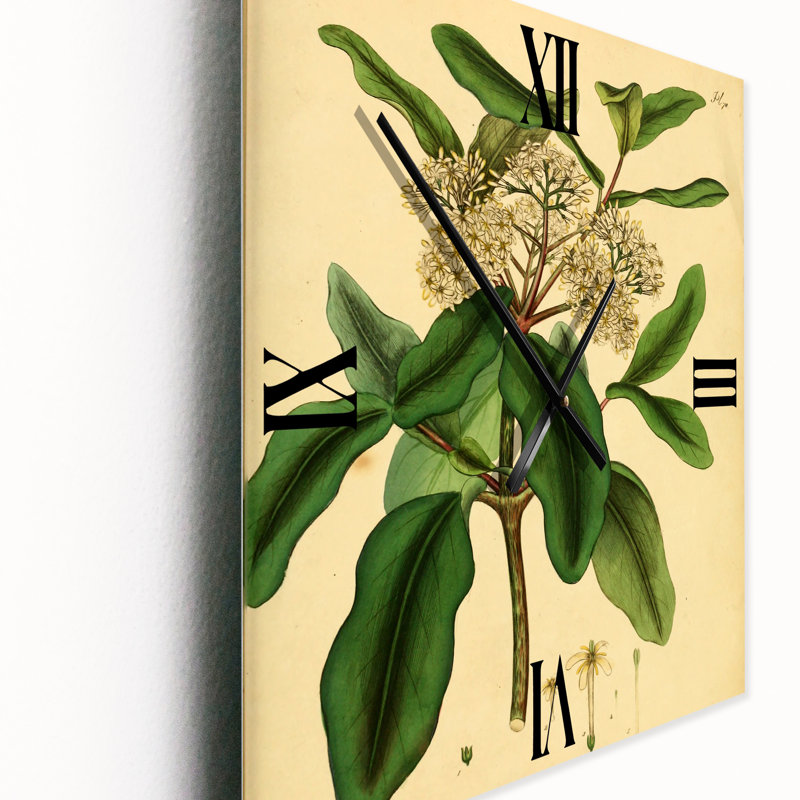 Horloge murale Plant Life I, Petit