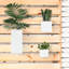 Metal Wall Planter