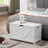 Storage Chest With White Color, Classic Design, Heavy - Duty Hinges, Versatile Use In Bedroom Retro Box Organizer, Storage, U Shaped Pull, Structure, Suitable For Entryway-981315874-981315884