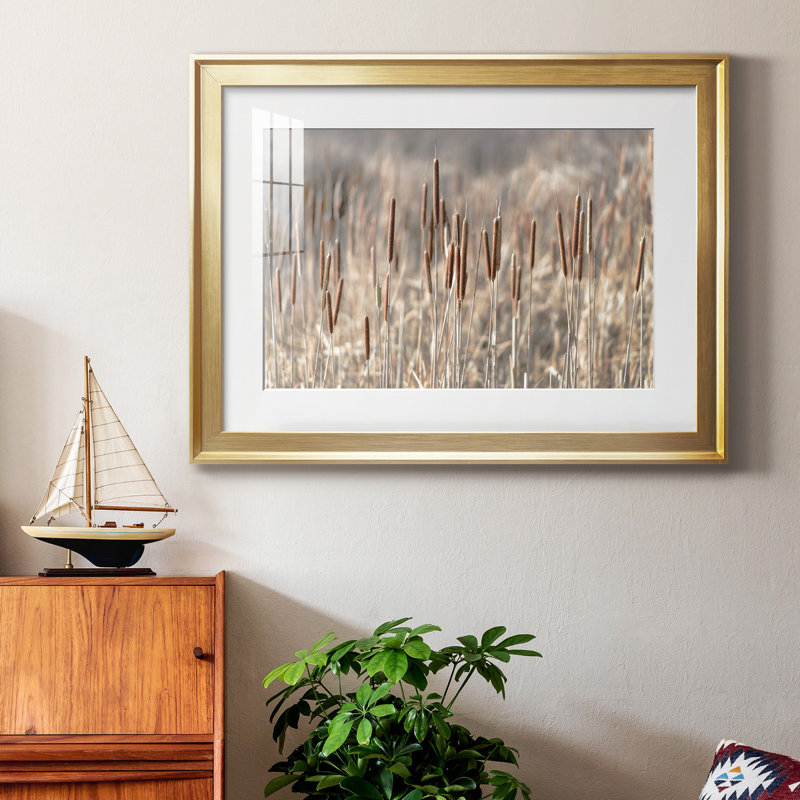 Summer Tails - Photographie avec cadre photo, H 22,5 po x l 30,5 po x P 1,5 po, Papier avec cadre doré
