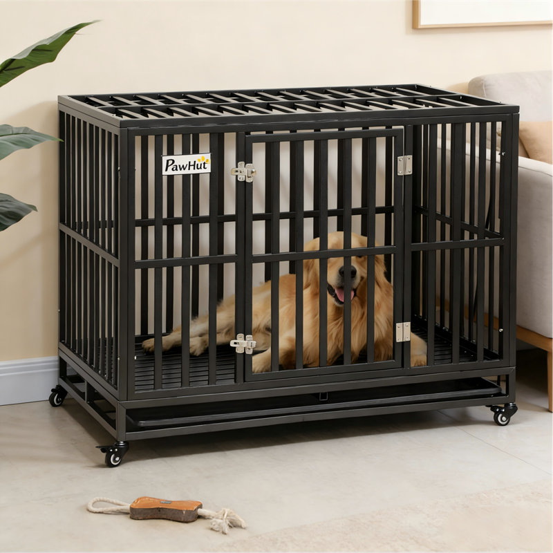 Cage pour chien robuste All-Access Elite avec plateau coulissant