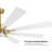 Delontae 60'' Ceiling Fan with LED Lights-781141500