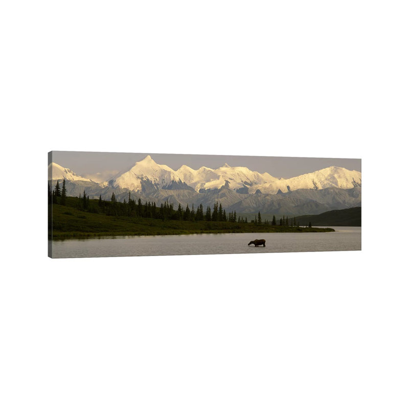 Moose Standing On A Frozen Lake Wonder Lake, Denali National Park, Alaska, USA - Wrapped Canvas Panoramic Print